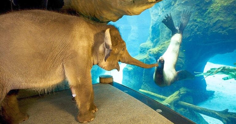 15 fotografii strălucitoare pentru cei care au nevoie doar de puțină dragoste