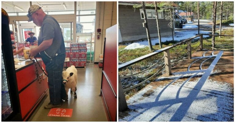 20 de imagini care ne dovedesc că se pot întâmpla lucruri neobișnuite în orice moment