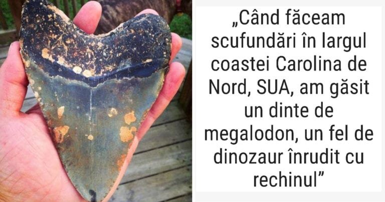 17 persoane care găsesc lucruri ciudate foarte ușor