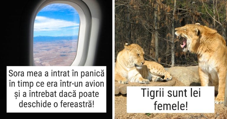 19 lucruri prostești pe care oamenii le-au auzit