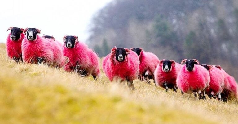 19 fotografii care fac lumea mai uimitoare decât pare