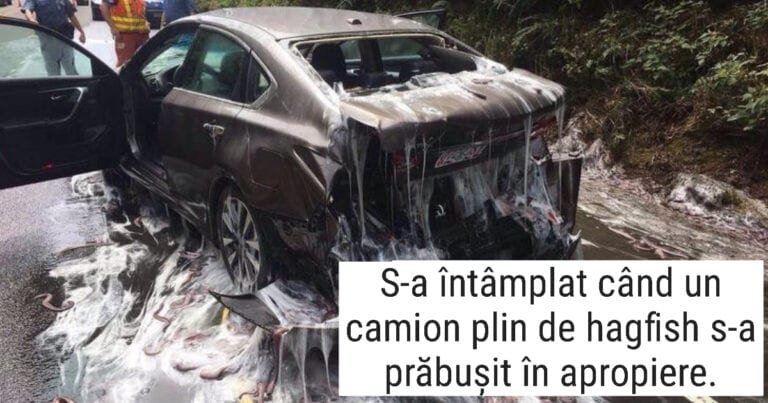 18 fotografii care necesită o explicație pentru a înțelege ce se întâmplă în ele