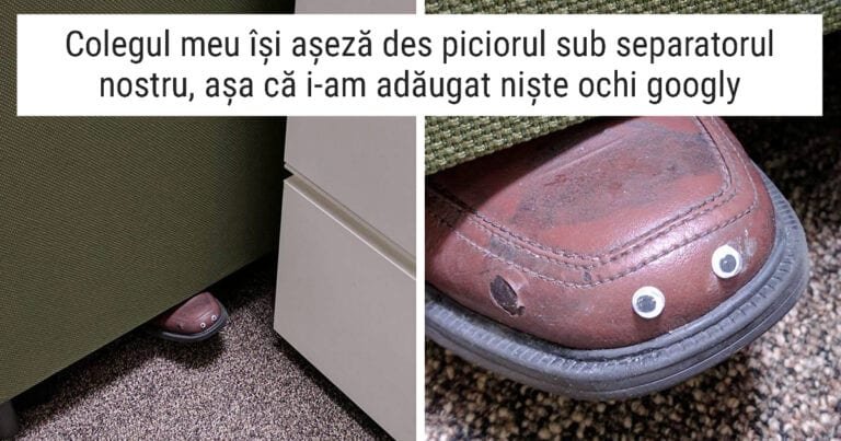 18 poze amuzante care demonstrează că acești ochi din plastic fac totul să arate mai bine