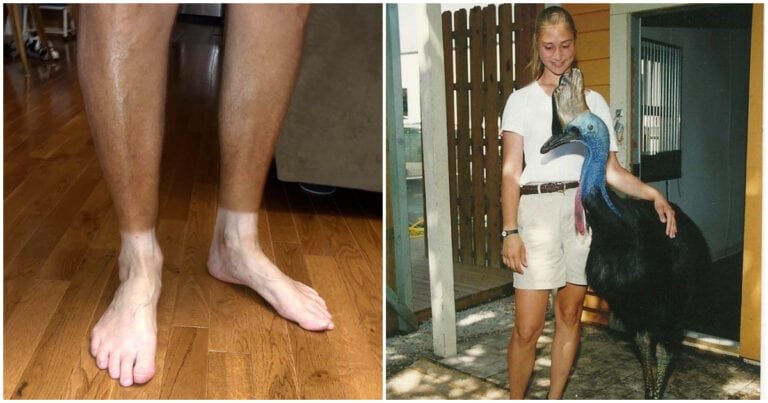 17 imagini care arată diferența dintre diverse lucruri pe care nu le-ai știut până acum