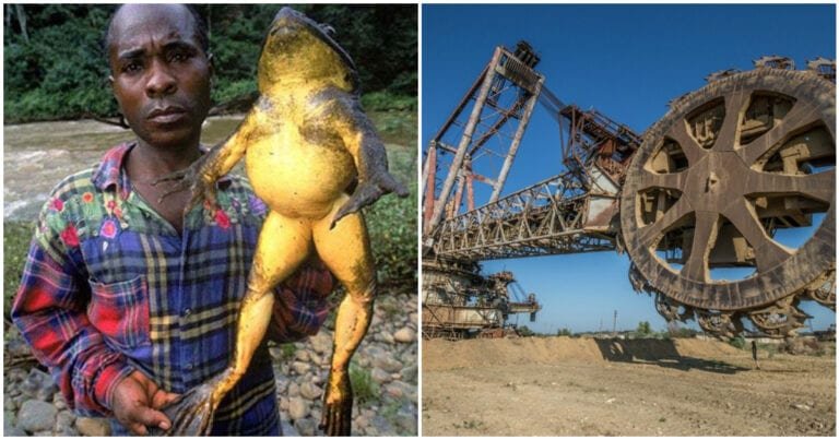 14 lucruri uriașe care par să fi venit de pe altă planetă