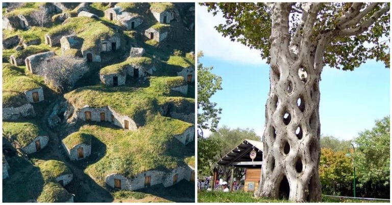 18 fotografii cu adevărat rare, pe care unii oameni nu le cred, chiar și după ce le-au văzut