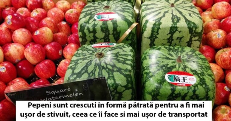 13 curiozități din Japonia care arată de ce este cu atât de mult înaintea celorlalte țări