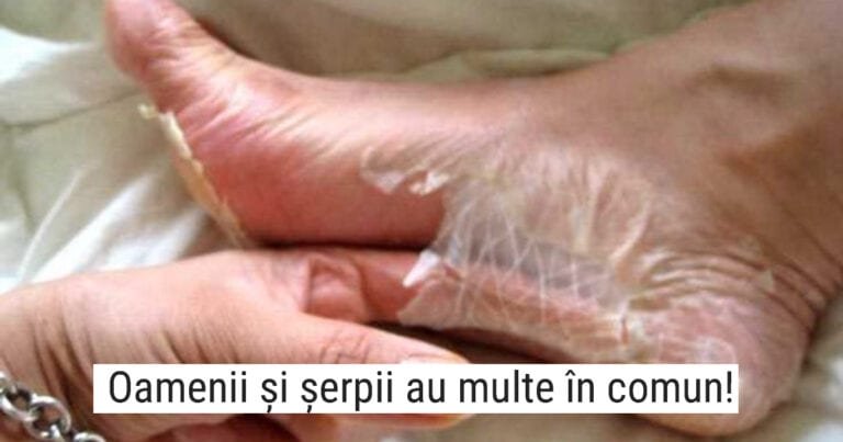 Viața noastră este plină de minciuni! 11 dovezi care stau la baza acestui fapt