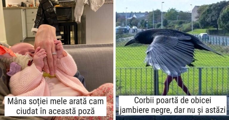 16 fotografii care te vor încurca și te vor face să le privești atent să înțelegi ce se întâmplă