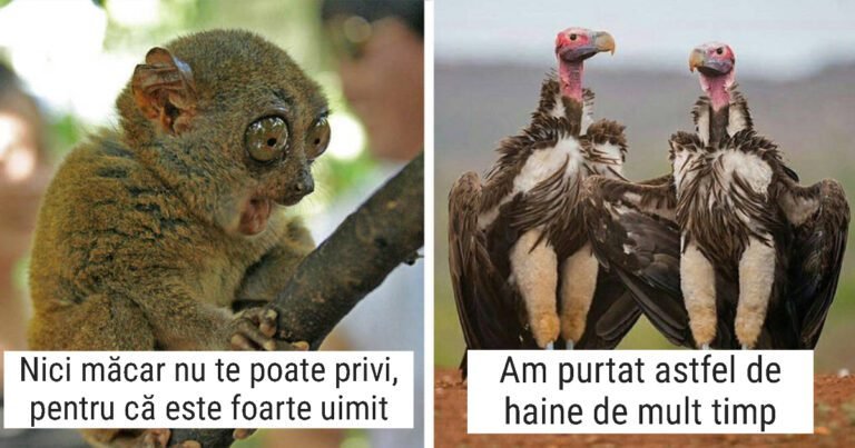 14 Animale carismatice, care te vor captiva cu fotografiile lor