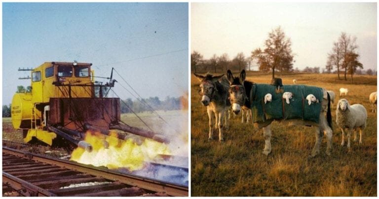 15 Invenții ingenioase create pentru a rezolva probleme la care mulți nici măcar nu s-au gândit