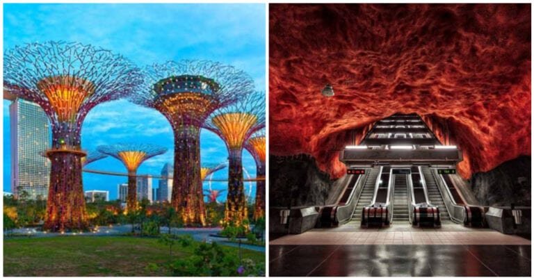 19 fotografii care îti vor arăta cât de ciudată este lumea noastră