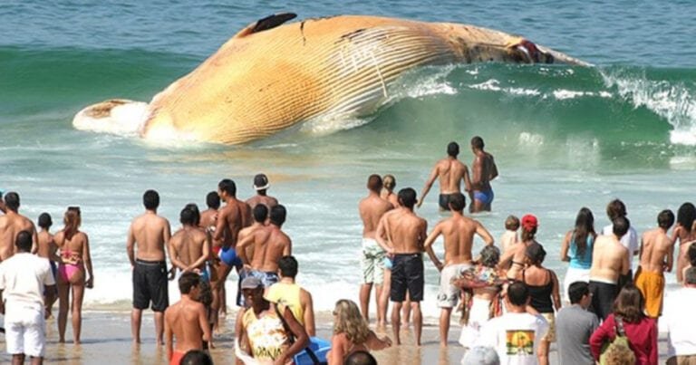 16 fotografii uimitoare fără un gram de Photoshop. Nu o să îți vină să crezi!