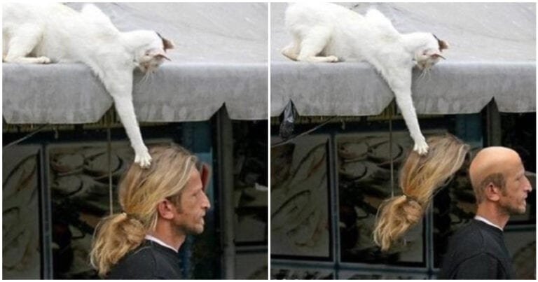 Ai avut o zi proastă? 20 de imagini care te fac să zâmbești