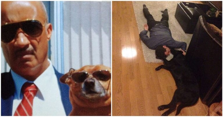 12 Oameni care nu și-au dorit animale în casa lor, iar astăzi nu mai pot trăi fără ele