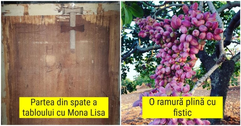 20 de imagini fantastice cu lucruri pe care nu le vedem în fiecare zi