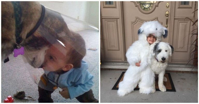 10 Dovezi că fiecare copil este mult mai fericit atunci când are un animal de companie