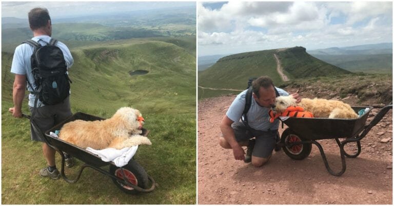 10 Imagini pline de dragoste care ne arată relația de prietenie dintre un om și un câine