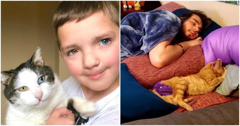 15 cazuri în care animalele de companie s-au dovedit a fi atât de asemănătoare cu proprietarii lor, de parcă ar fi proprii lor copii