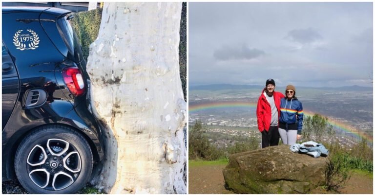 16 fotografii perfecte cu obiecte care se potrivesc ca piesele unui puzzle