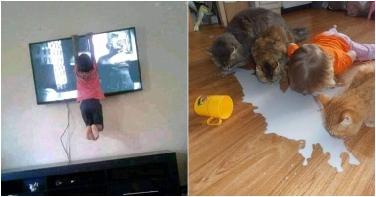 19 Exemple de ce trebuie să stai bine cu nervii înainte de a avea copii