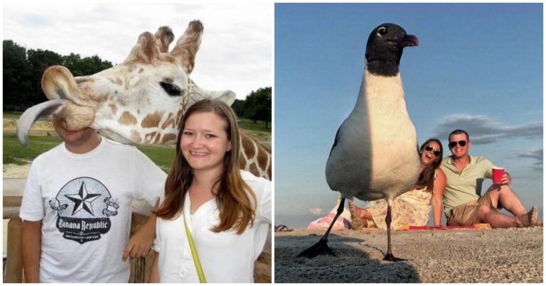 20 de fotografii nebune și incredibil de reușite care te vor face să zâmbești