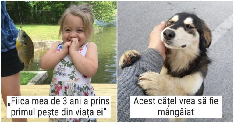 18 fotografii pe care le vei privi și starea ta de spirit se va ridica la cel mai înalt nivel