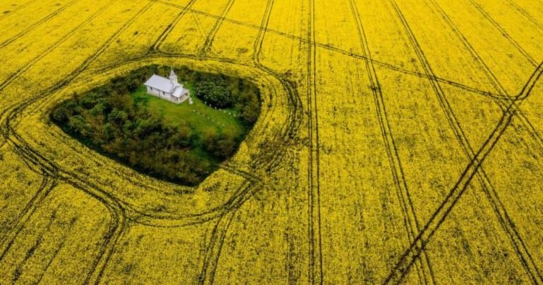 Povestea unei biserici de pe meleagurile României care se afla în mijlocul pustietații