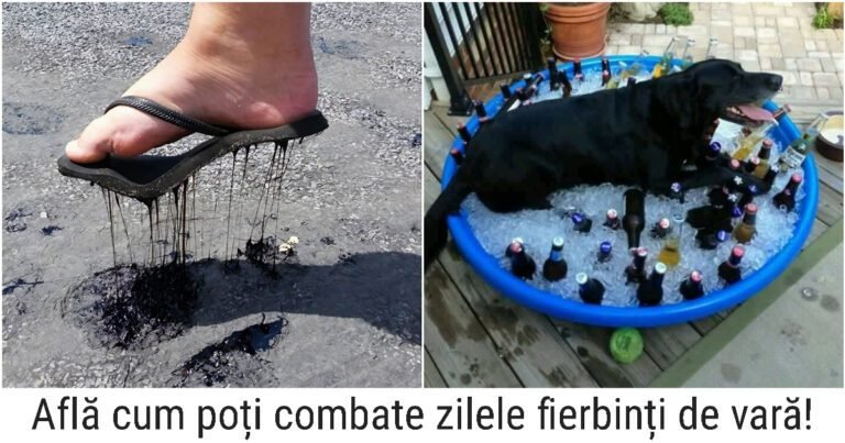 19 fotografii care ilustrează perfect cât de fierbinte a fost vara aceasta