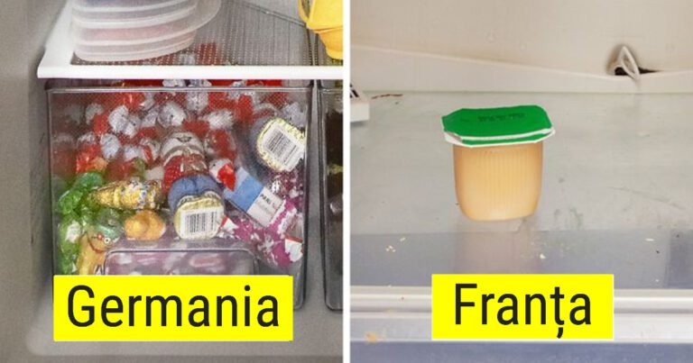 O femeie germană ne împărtășește fotografii cu oameni și conținutul frigiderelor lor