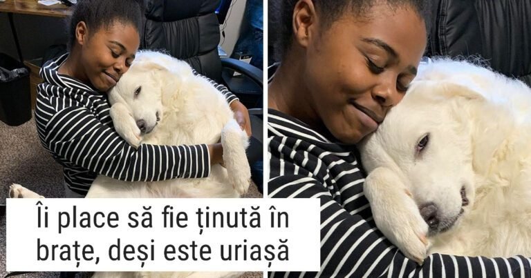 15 Animale care sunt la fel de iubitoare pe cât sunt de mari