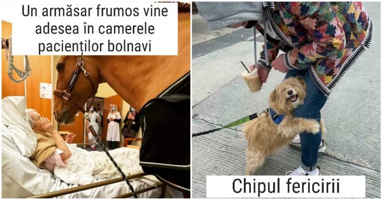 20 de lucruri aparent obișnuite, dar cu o semnificație ascunsă