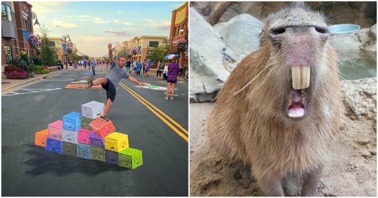 16 Fotografii complicate care vă vor păcăli ochii și mintea