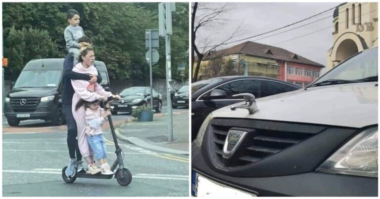 14 situații extraordinare la care nici nu-ți poți da seama cum să reacționezi