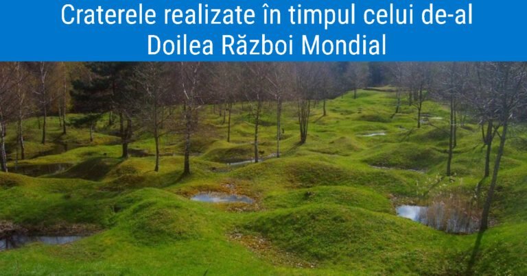 19 lucruri complet uimitoare pe care nu le-ai văzut niciodată în viața ta