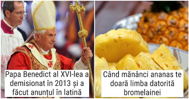 19 lucruri interesante, noi, care nu se învață la școală