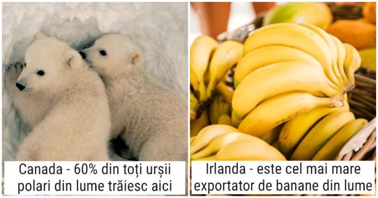 17 fapte despre diferite țări ale lumii pe care le veți auzi pentru prima dată, dar localnicii sunt mândri de ele