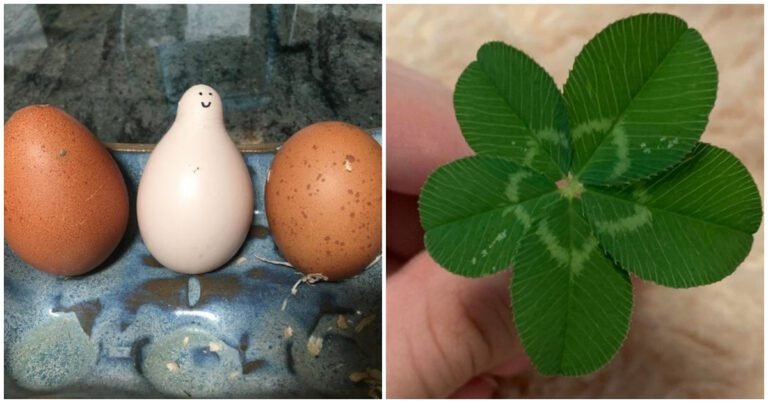 18 persoane pentru care „norocul” a decis să încalce toate legile fizicii