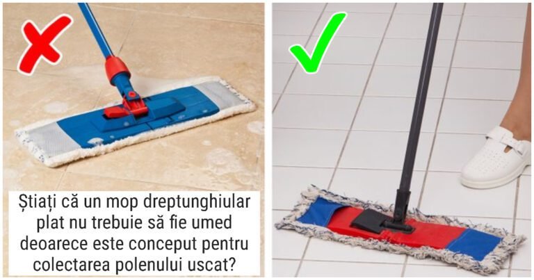 17 imagini cu oameni care au rezolvat accidental secretele lumii noastre