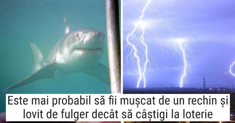 20 de fapte interesante care acționează asupra creierului ca o înghițitură de apă rece într-o zi fierbinte de vară