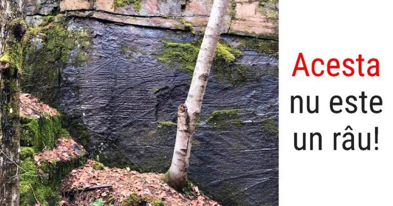 15 fotografii neobişnuite cu detalii care distorsionează realitatea