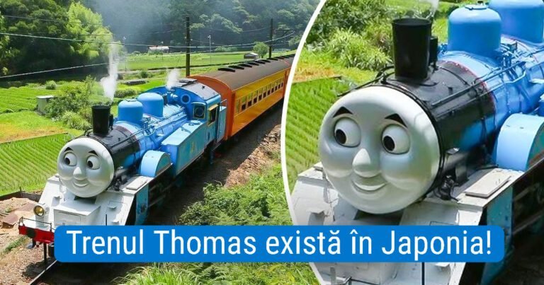 20 de oameni care au transformat lucrurile obișnuite într-o operă de artă