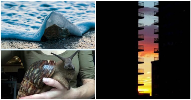 19 fotografii incredibile care nu conțin nici măcar o picătură de Photoshop