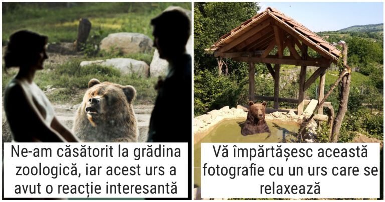 20 de oameni care au fotografiat urși făcând lucruri ridicole și adorabile