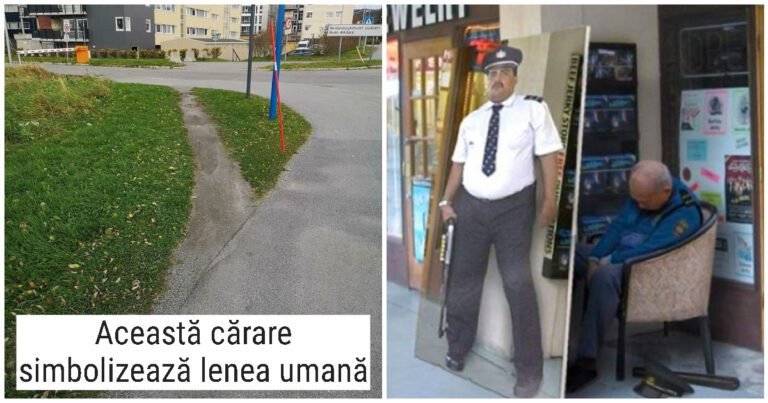 20 de momente în care oamenii au dus lenea la un nivel superior