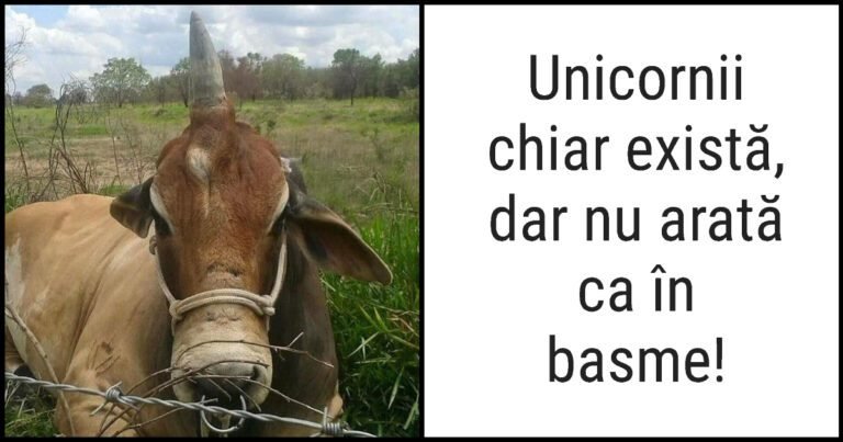 18 fotografii care îți vor răspunde la cele mai mari intrigi despre lumea noastră