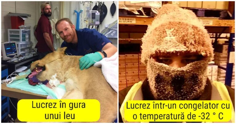 20 de persoane care ne arată ce se află cu adevărat în spatele muncii lor