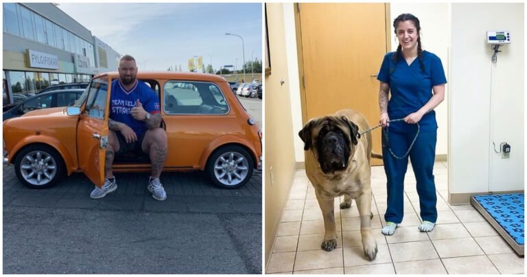 19 fotografii care arată diferența uimitoare dintre lucrurile de care ne lovim aproape zilnic