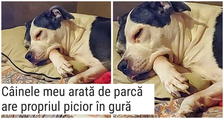 15 imagini uimitoare care vor reuși să se joace cu imaginația ta