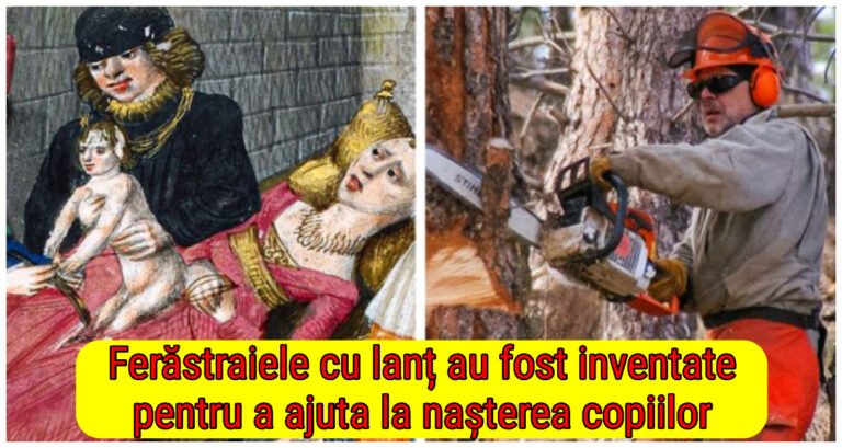 19 fapte uluitoare care pot părea un pic prea ireale pentru noi